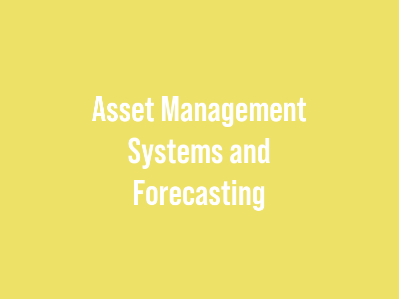 Asset Management Systems and Forecasting