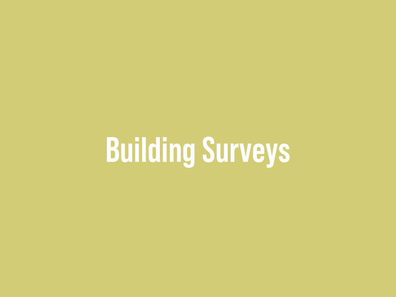 Building Surveys