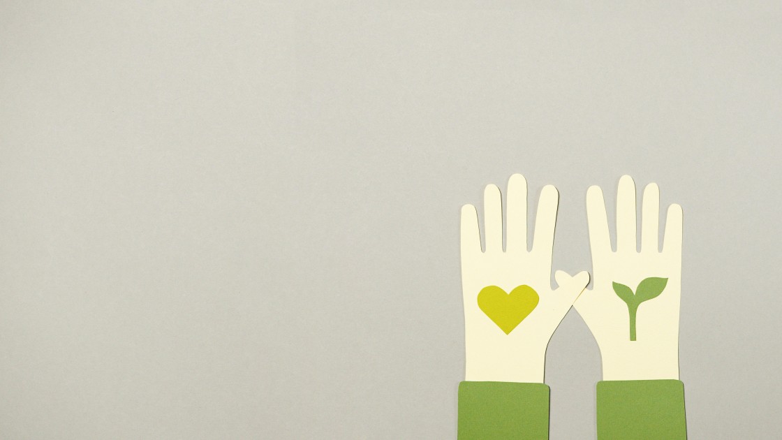 Environmental and Social Safeguarding