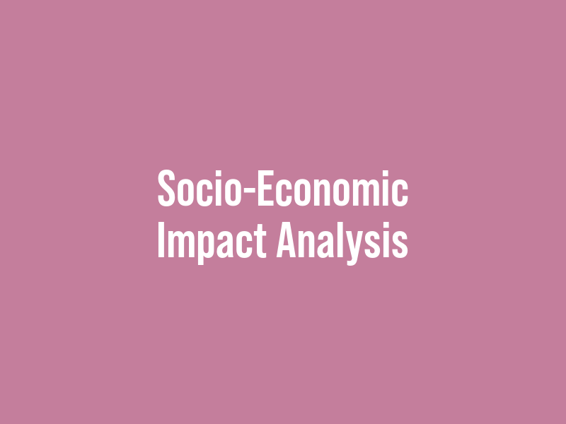 Socio-Economic Impact Analysis